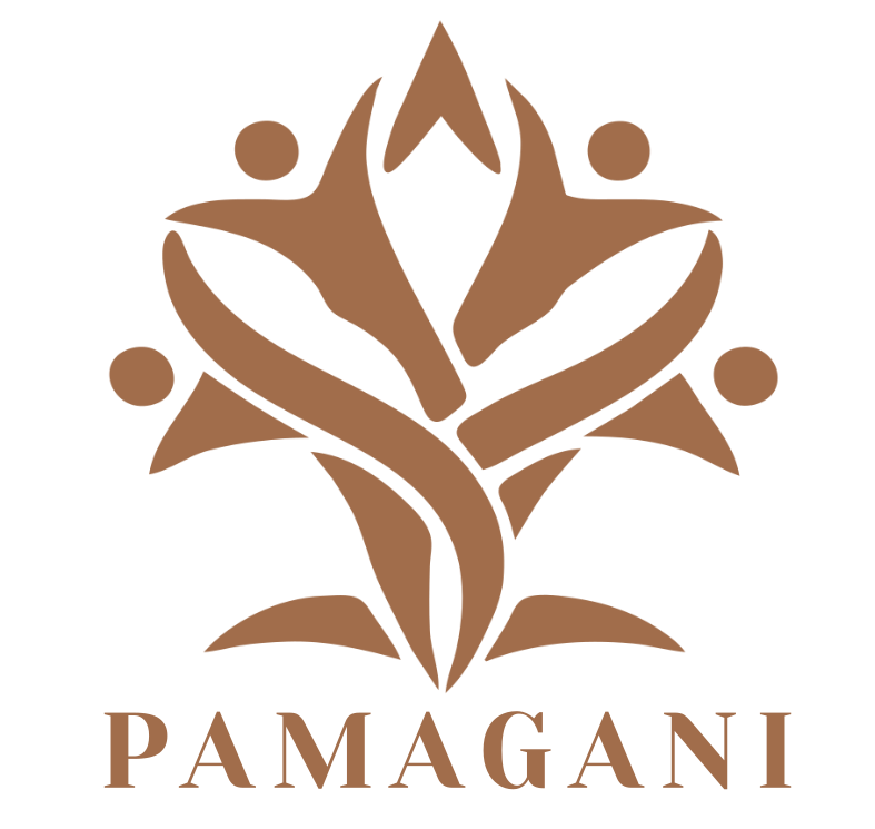 Pamagani IT Solutions